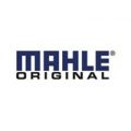 mahle1